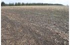 Property photo 62 - 98+/- Acres Offered in 6 Tracts or Combinations, Noble County, Indiana Farm